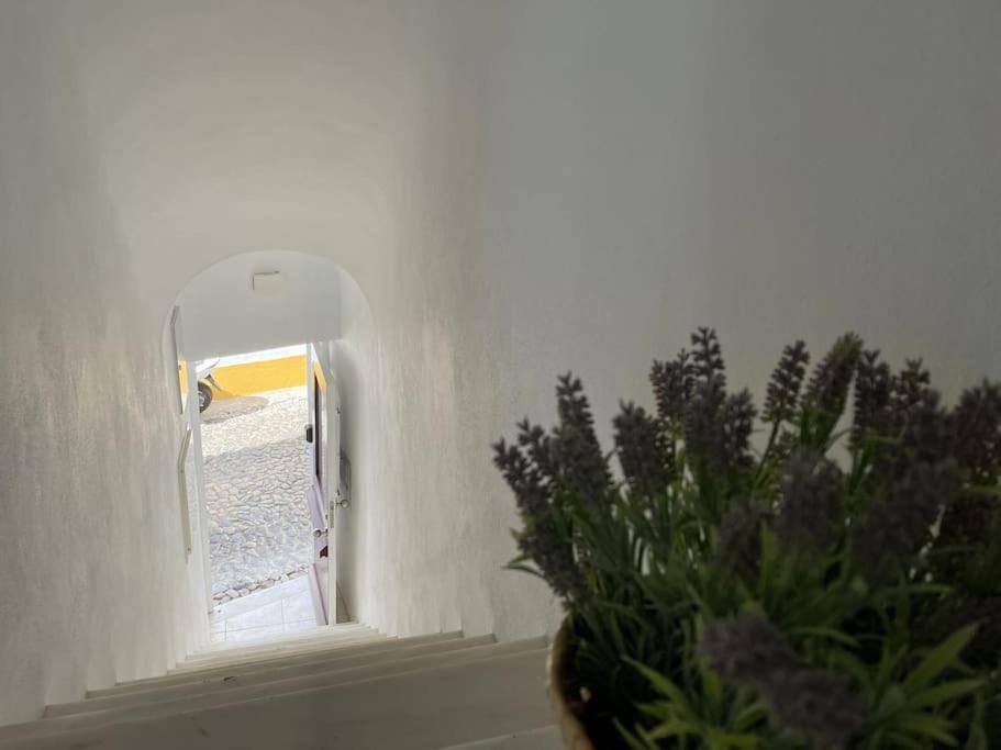 Casa Da Oliveira Lejlighed Évora Eksteriør billede